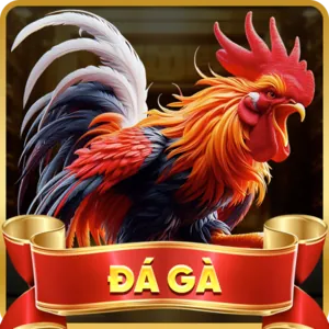 Bảo mật thông tin người dùng